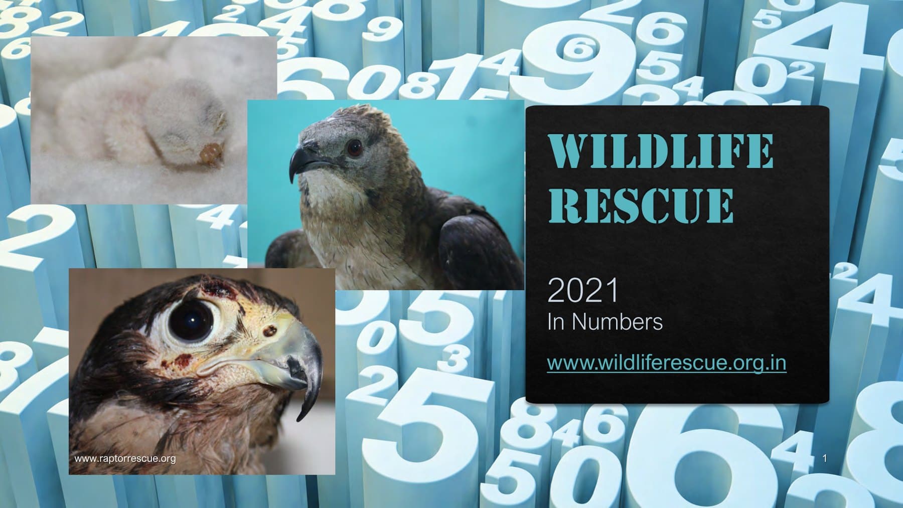 2021 Annual Report — detailed PDF cover preview