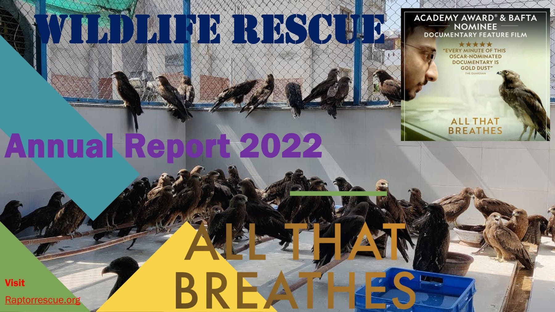 2022 Annual Report — detailed PDF cover preview