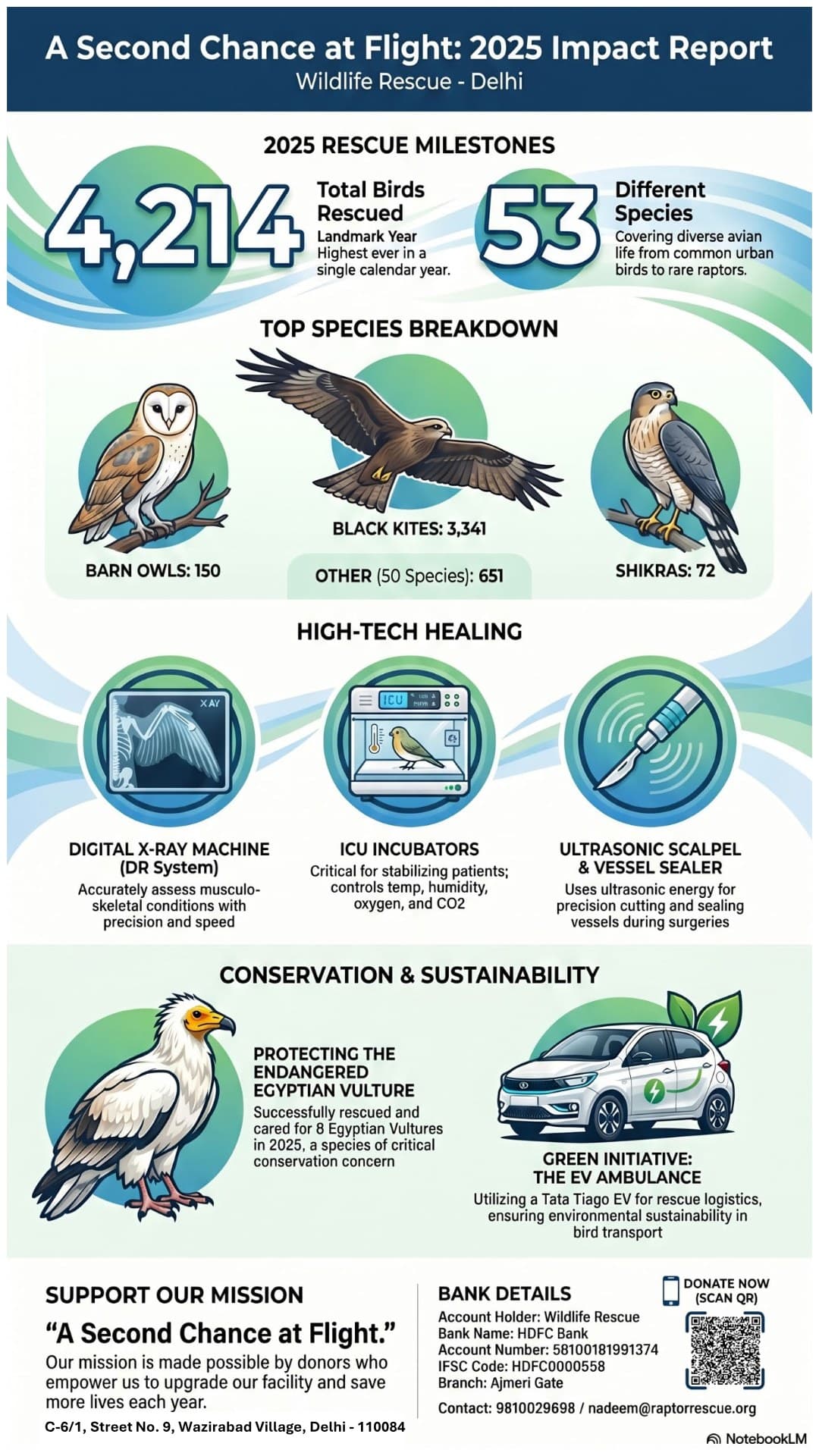 2025 Annual Report infographic — one-page visual summary