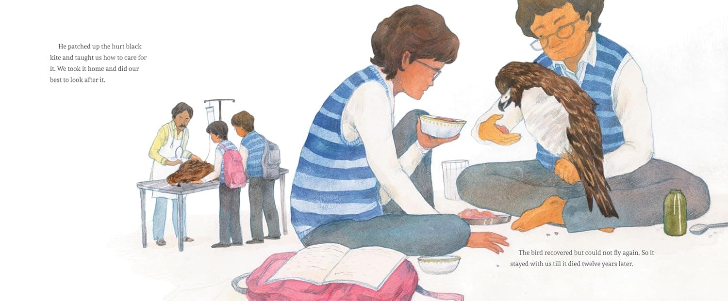The brothers learn to care for an injured kite at home, feeding and nursing it