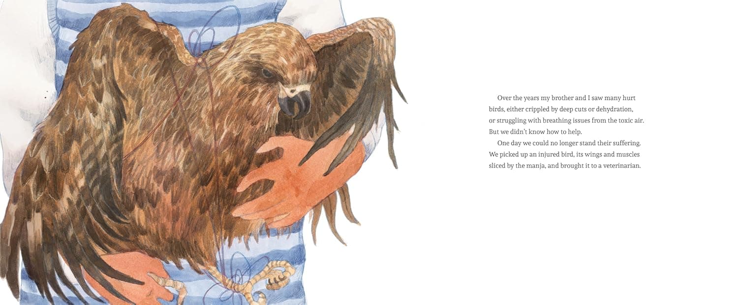 A brother holds an injured black kite with spread wings