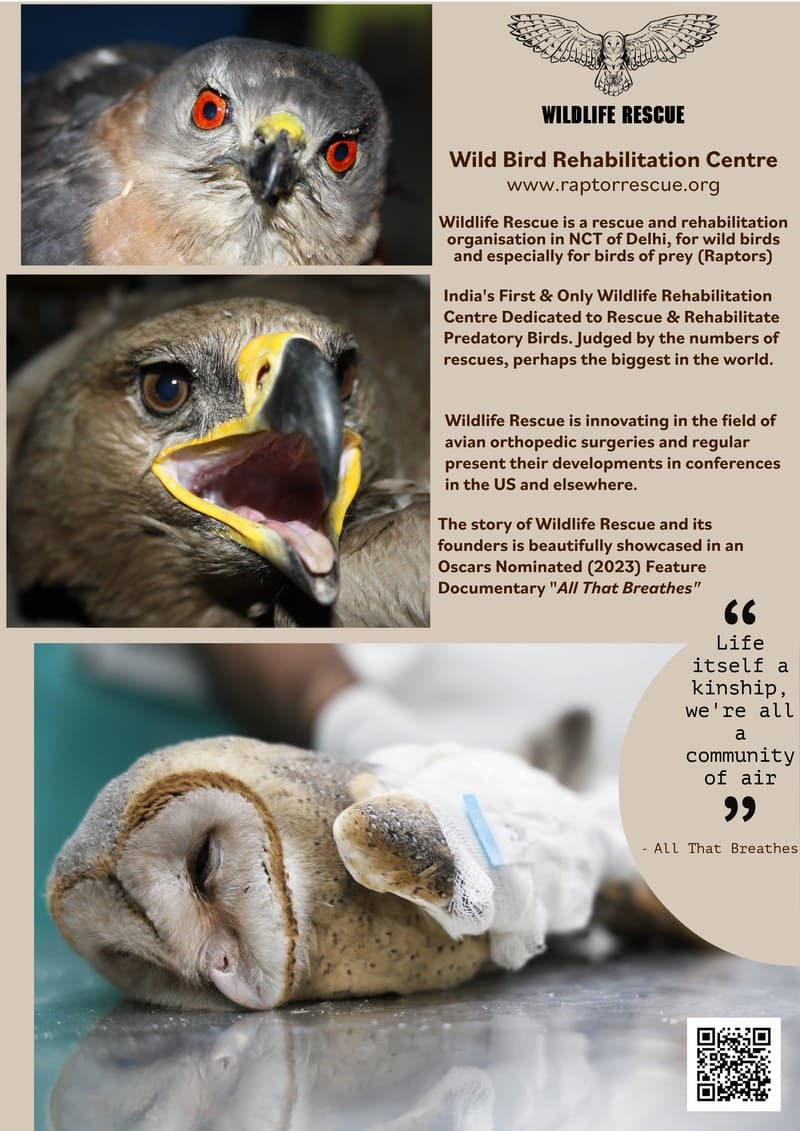 Wildlife Rescue CSR Brochure — cover preview