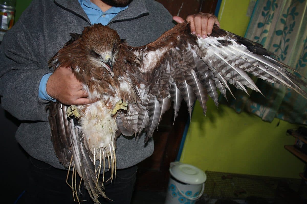 Methane & Chemical Burns