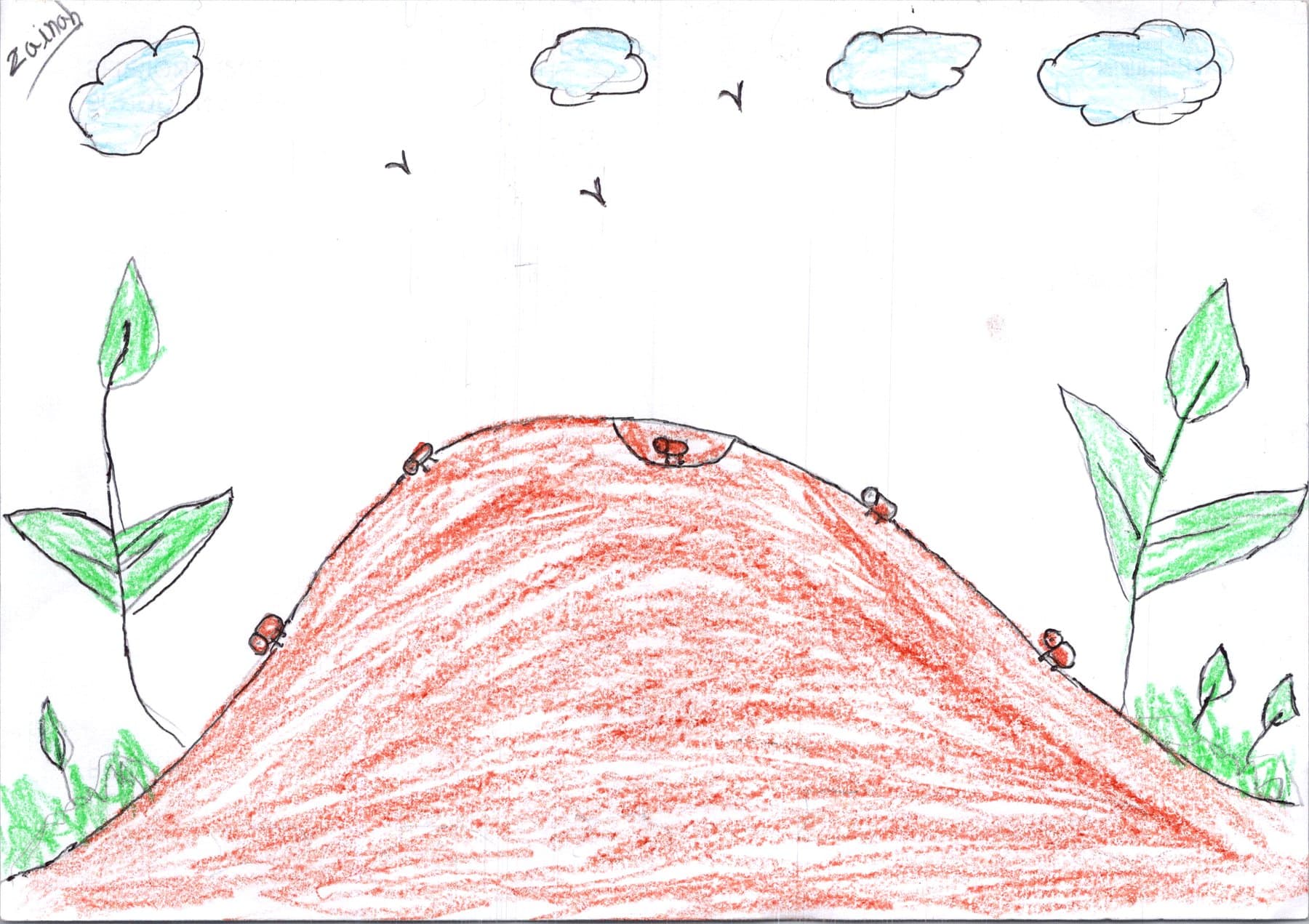 A child's drawing about wildlife and the environment from the Wildlife Rescue contest