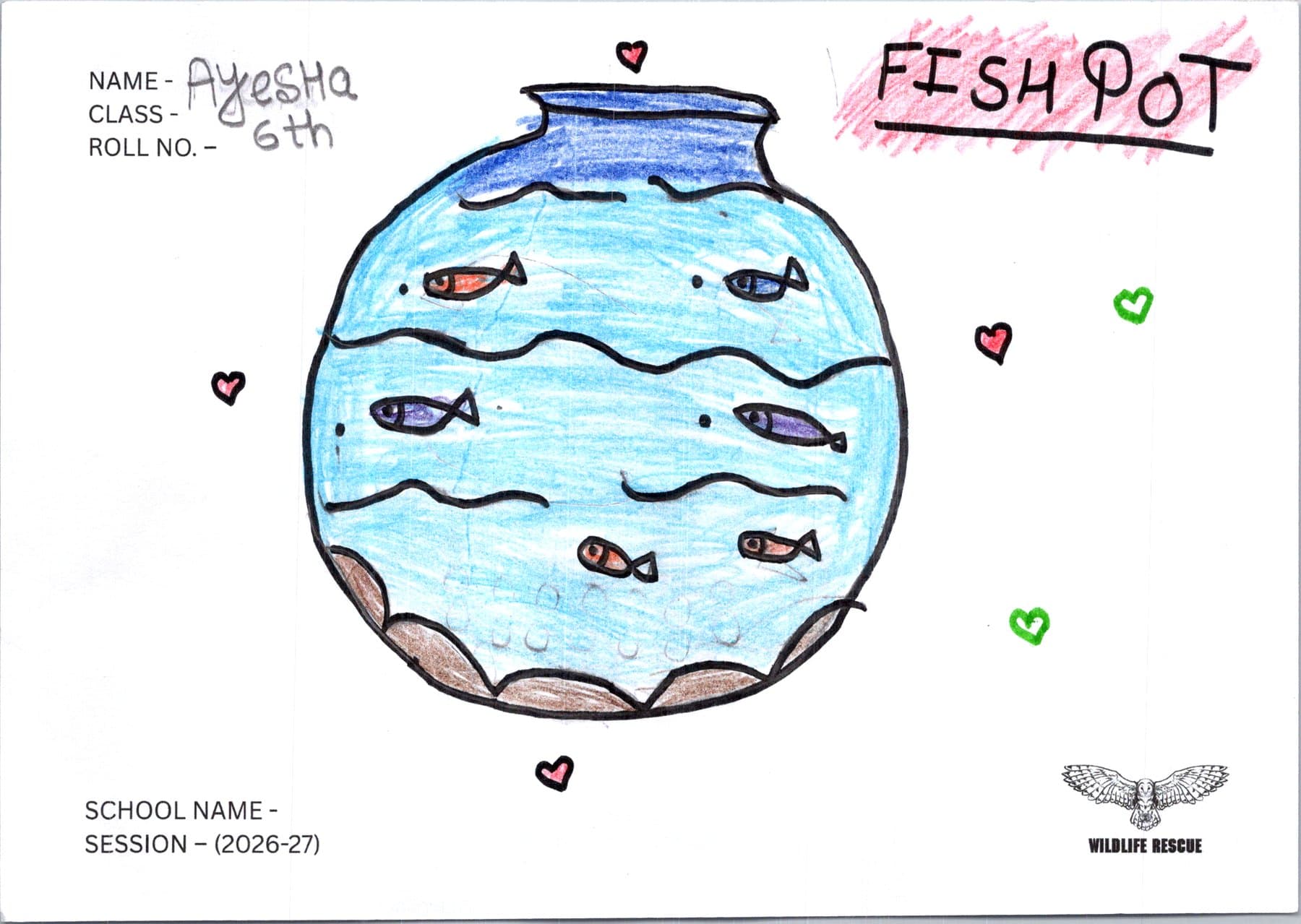 A student's drawing of birds and wildlife from the Wildlife Rescue contest