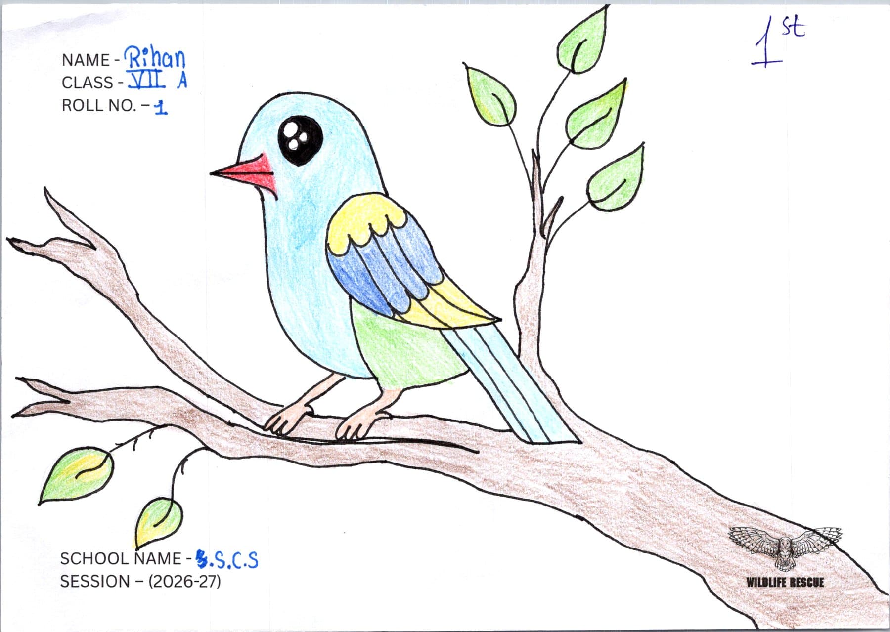 A student's artwork on urban ecology and sharing the city with wildlife