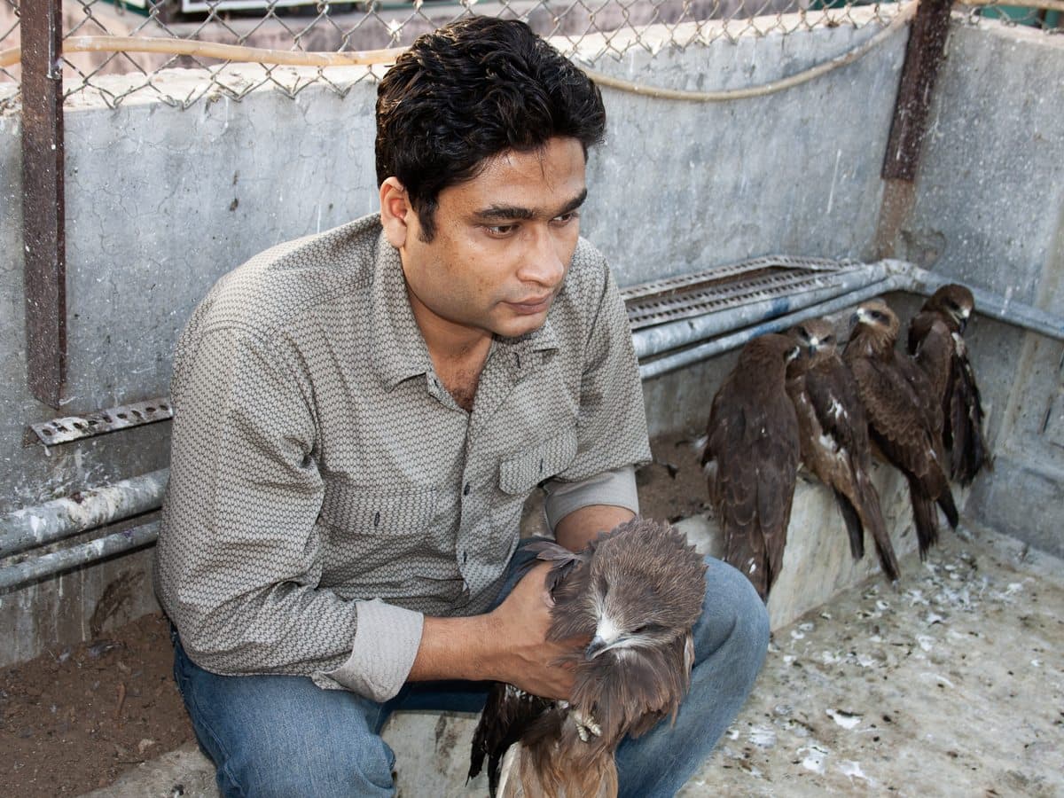 Nadeem Shehzad — Co-Founder