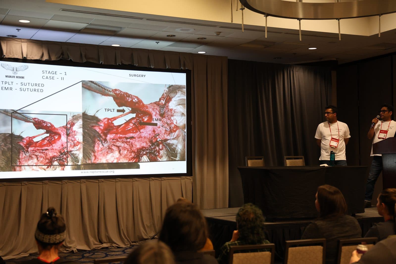 Slide showing TPLT and EMR sutured during Stage 1 Case II propatagium repair surgery