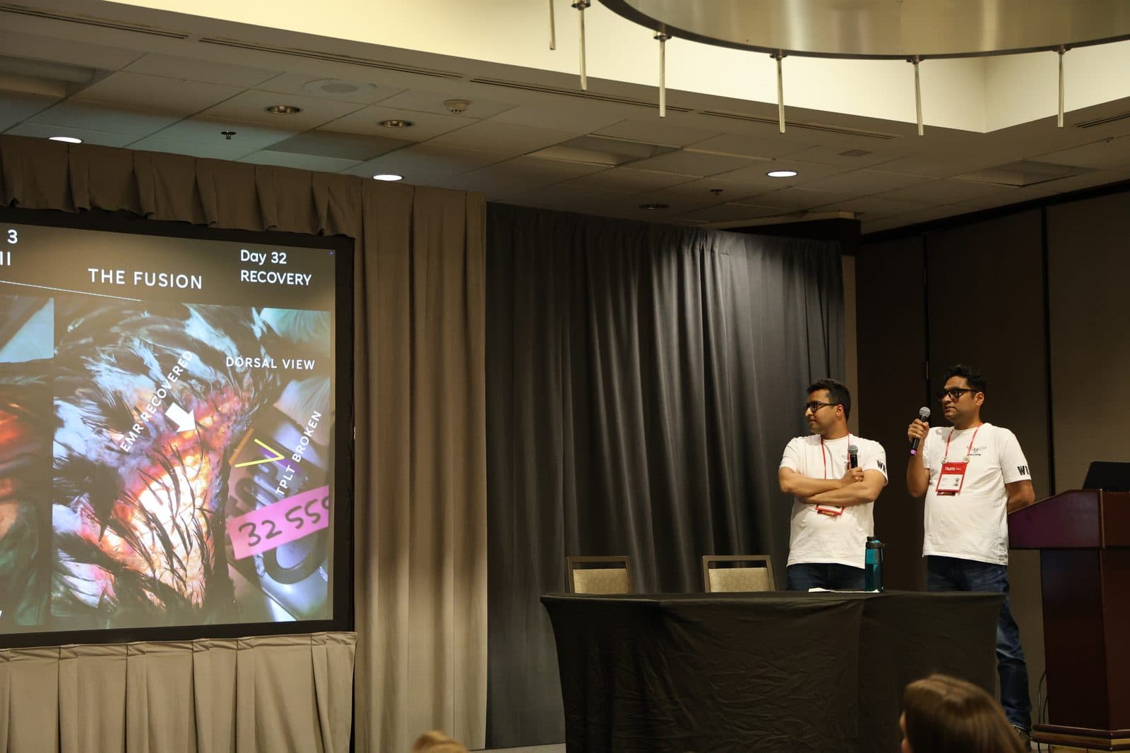 The Fusion Day 32 Recovery slide showing the healed propatagium — dorsal view with measurement tape