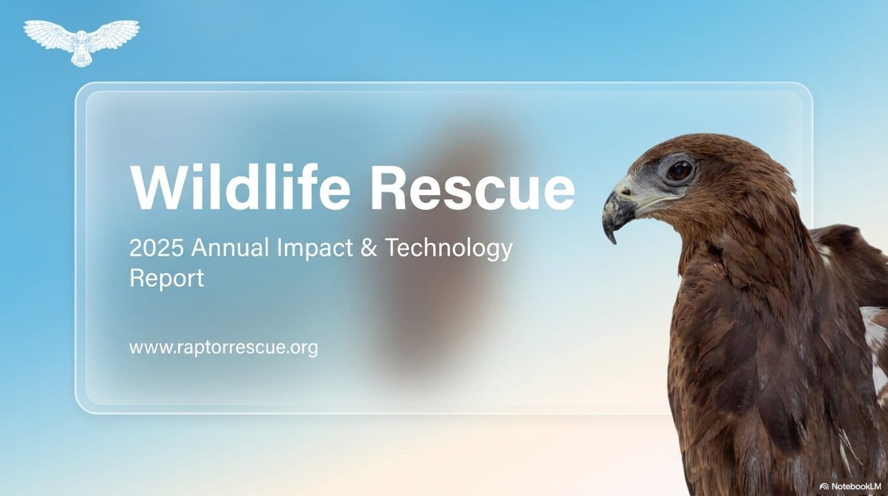 2025: Our Biggest Year Ever — 4,184 Birds Rescued