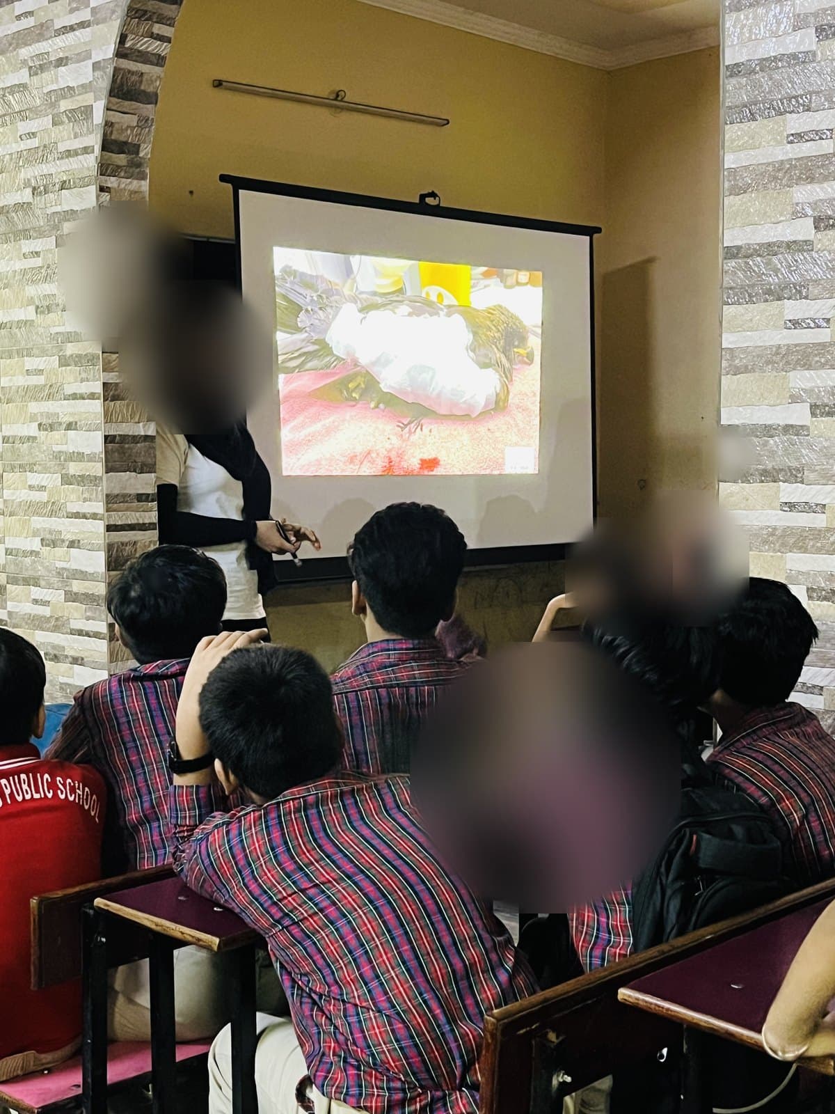 Students watching a photograph of a bird being treated at the Wildlife Rescue clinic