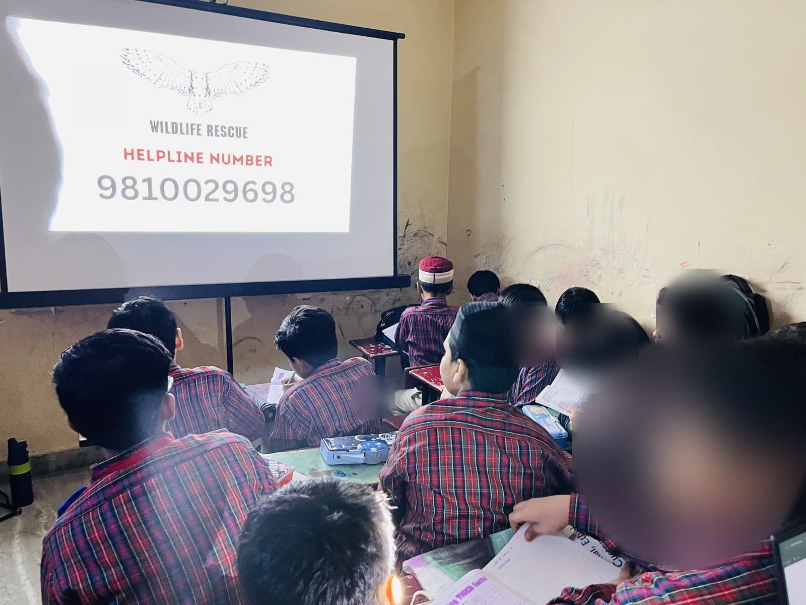 A class facing the Wildlife Rescue helpline number on screen: 9810029698