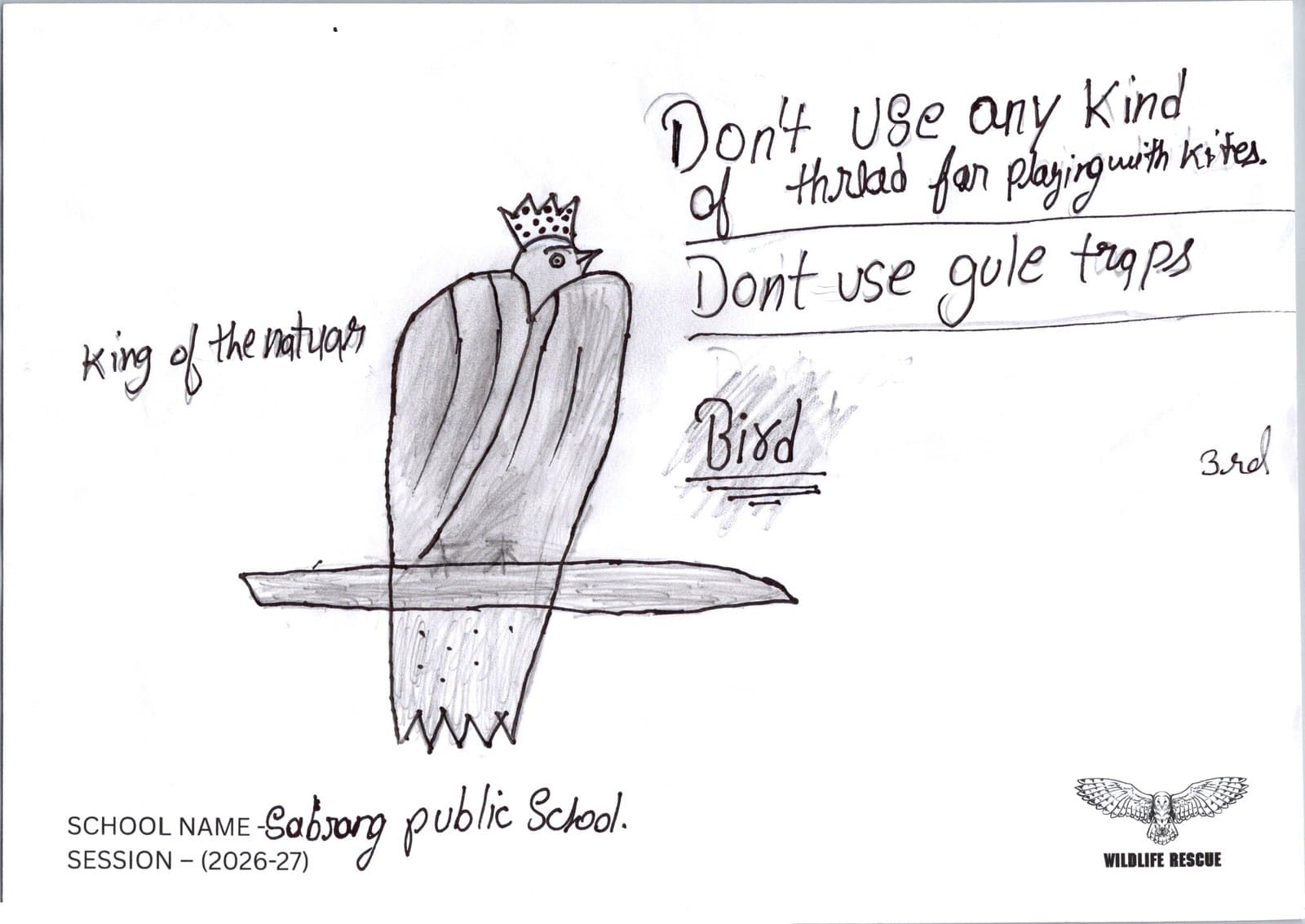Third-place drawing: a bird captioned “king of the nature”, with warnings against kite thread and glue traps
